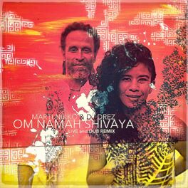 Album cover of Om Namah Shivaya Live and Dub Remix