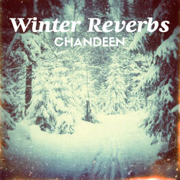 Album cover of Winter Reverbs