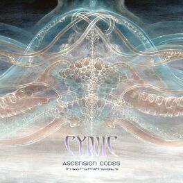 Album cover of Ascension Codes (Instrumentals)