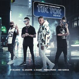 Album cover of Tik Tok (Remix)
