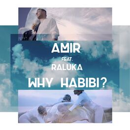 Album cover of Why Habibi?