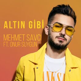 Album cover of Altın Gibi
