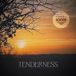 Album cover of Tenderness