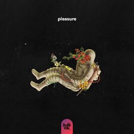 Album cover of pleasure