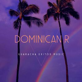 Album cover of DOMINICAN R (feat. Dj Andres Galvis)