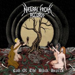 Album cover of Call of the Black Hearts