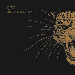 Album cover of Wild Series #1