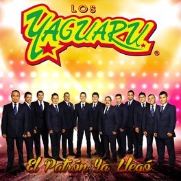 Album cover of El Patrón Ya Llegó