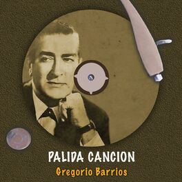 Album cover of Palida cancion