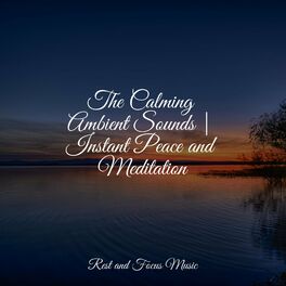 Album cover of The Calming Ambient Sounds | Instant Peace and Meditation