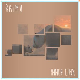 Album cover of Inner Link