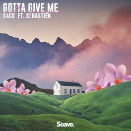Album cover of Gotta Give Me (feat. Sebastiën)