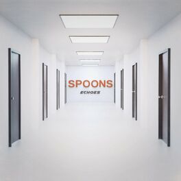 Album cover of Spoons Echoes