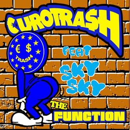 Album cover of The Function