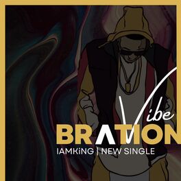 Album cover of Vibe Bration