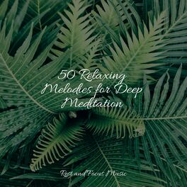 Album cover of 50 Relaxing Melodies for Deep Meditation
