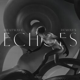 Album cover of Echoes Remixes