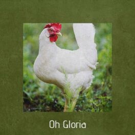 Album cover of Oh Gloria