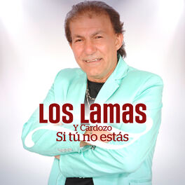 Album cover of Si Tu No Estás