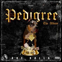 Album cover of Pedigree The Album