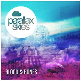 Album cover of Blood & Bones