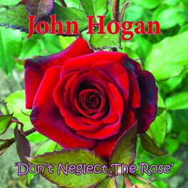 Album cover of Don't Neglect the Rose
