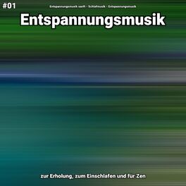 Album cover of #01 Entspannungsmusik zur Erholung, zum Einschlafen und für Zen