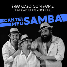 Album cover of Cantei Meu Samba