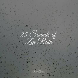 Album cover of 25 Composing Rain Sounds for Instant Deep Sleep