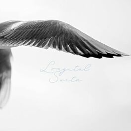 Album cover of Longital suita