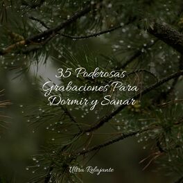 Album cover of 35 Poderosas Grabaciones Para Dormir y Sanar