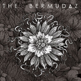 Album picture of The Bermudaz