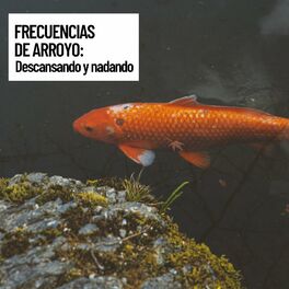 Album cover of Total Relaxation,Frecuencias de Arroyo: Descansando y nadando, Complete Relaxation