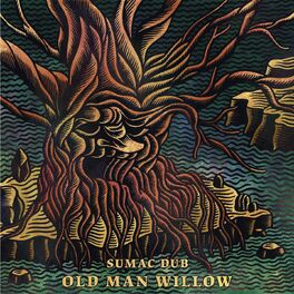 Album cover of Old Man Willow