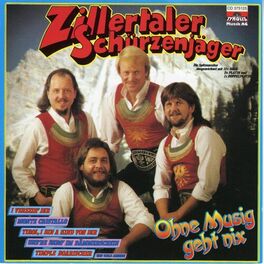 Album cover of Ohne Musig geht nix