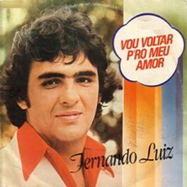 Album cover of Vou Voltar Pro Meu Amor