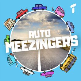 Album cover of Auto Meezingers