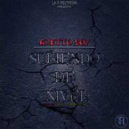Album cover of Subiendo de Nivel