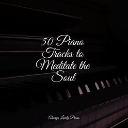 Album cover of 50 Piano Tracks to Meditate the Soul
