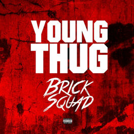 Album cover of Brick Sqaud