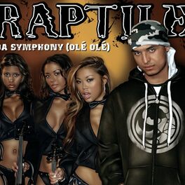 Album cover of Da Symphony (Olé, Olé)