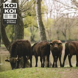 Album cover of Pozivi u stranu