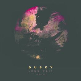 Album cover of Long Wait (Remixes)