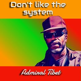 Album cover of Don't like the system (Remix)