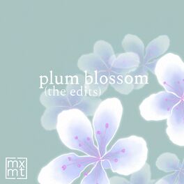 Album cover of plum blossom (the edits)
