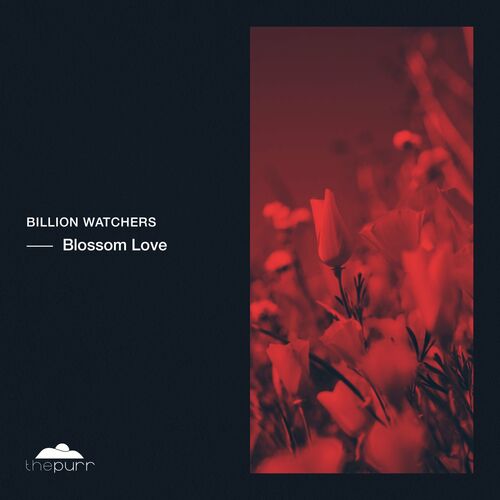 VA - Billion Watchers - Blossom Love (2023) (MP3)