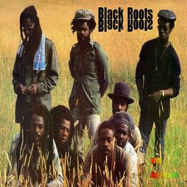 Album cover of Black Roots