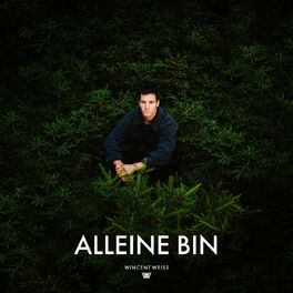 Album cover of Alleine Bin