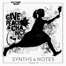 Album cover of Synths and Notes 37