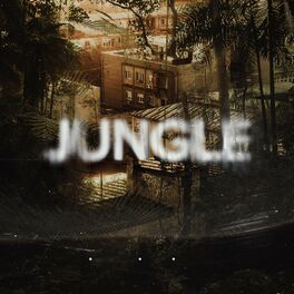 Album cover of Jungle (feat. Coa DNK, Dare & Prljavi Dzo)